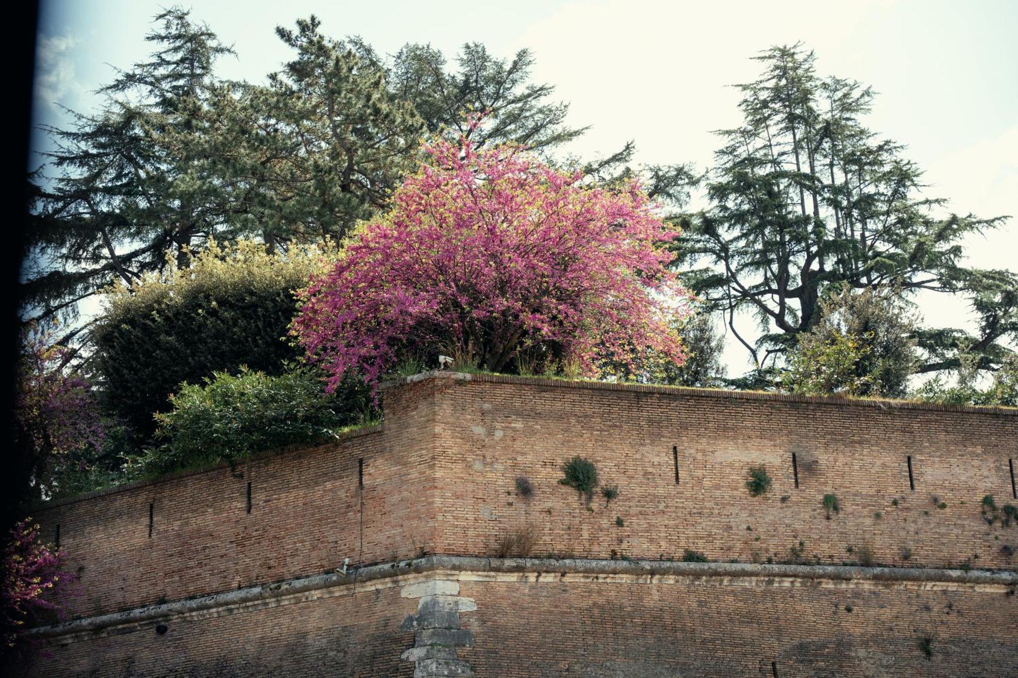 Art House Vaticano Luxury Apartment Rom